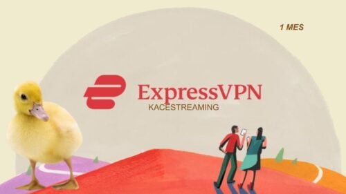 Express VPN PARA TODOS LOS DISPOSITIVOS 1 MES
